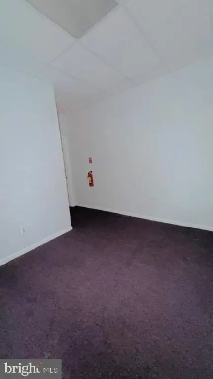 Picture 24