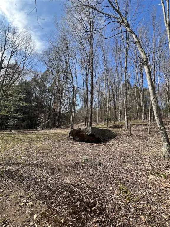 Picture 23