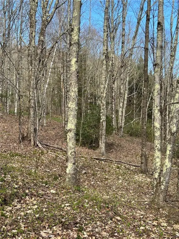 Picture 25