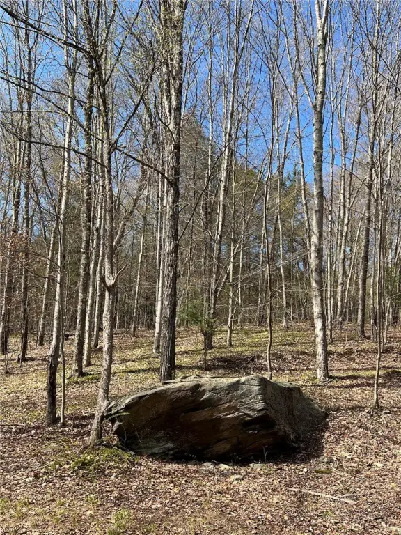 Picture 19