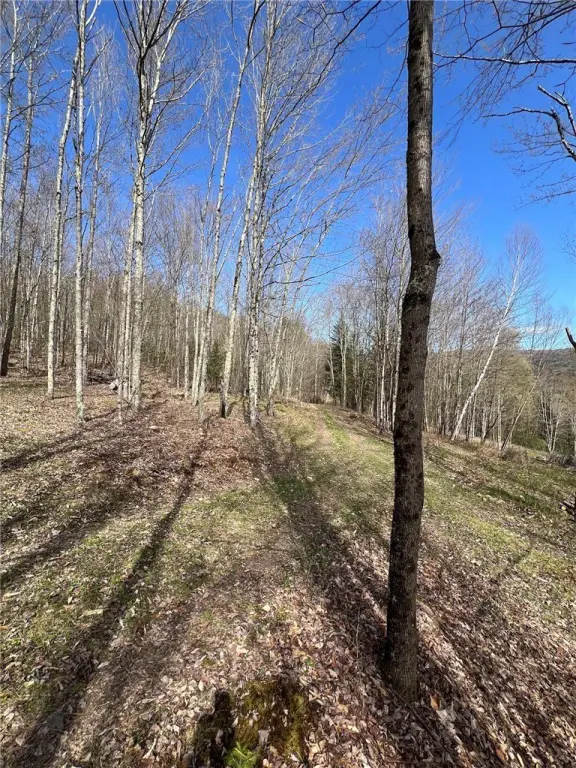 Picture 15