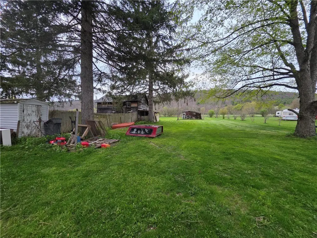 Picture 17
