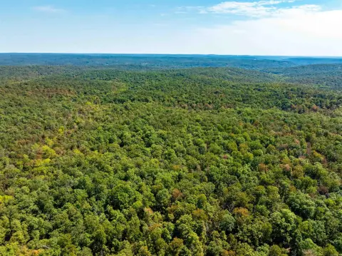 Wooded Acreage in Hardy, Arkansas