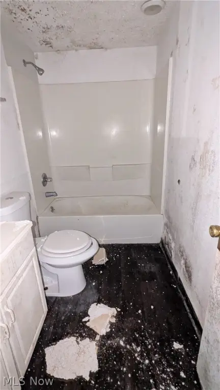 Picture 43