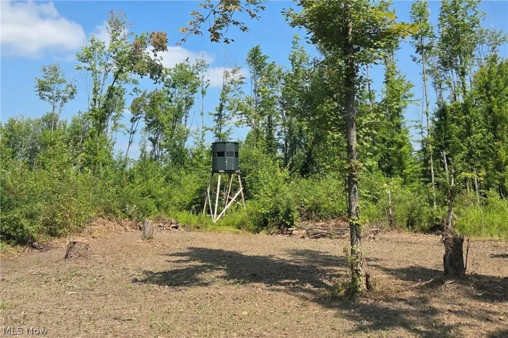 Picture 25