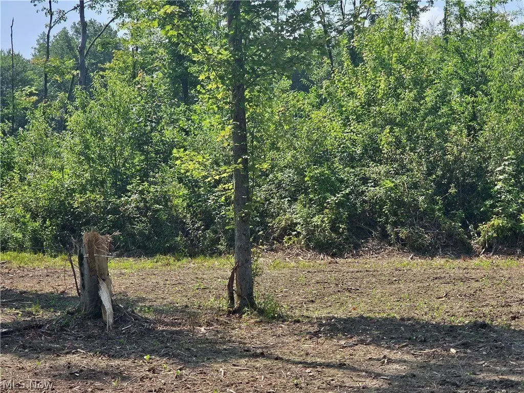 Picture 22