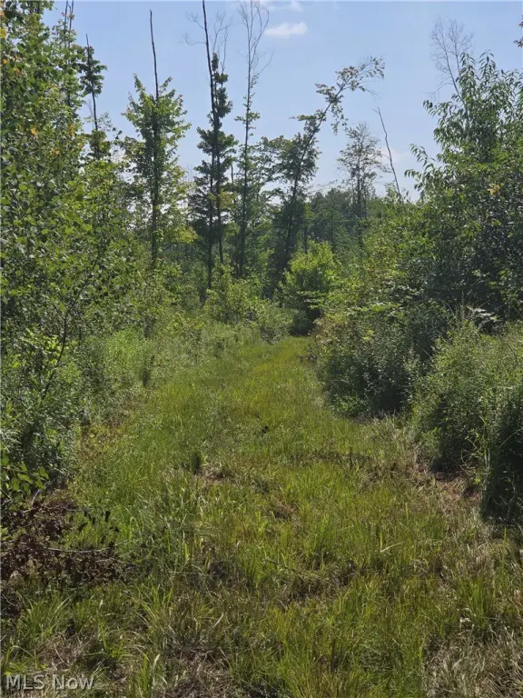 Picture 23