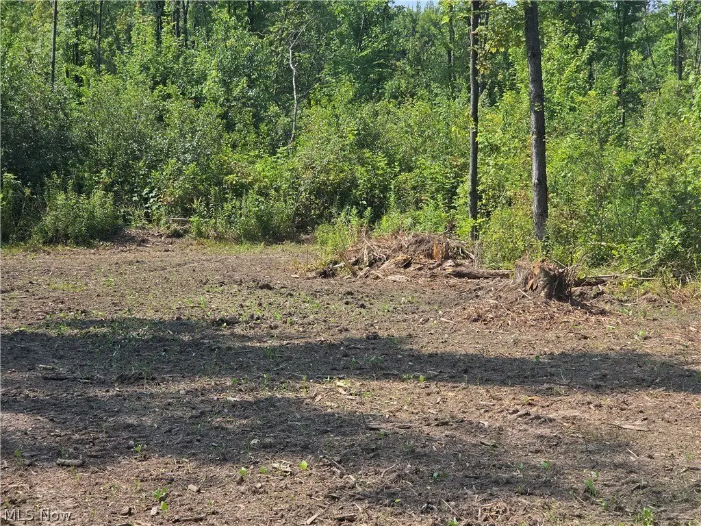 Picture 35