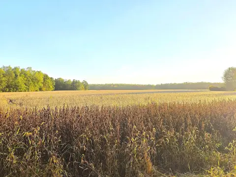 Agricultural Land For Sale