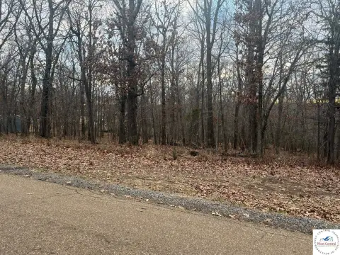 Vacant Lot in Lake Community