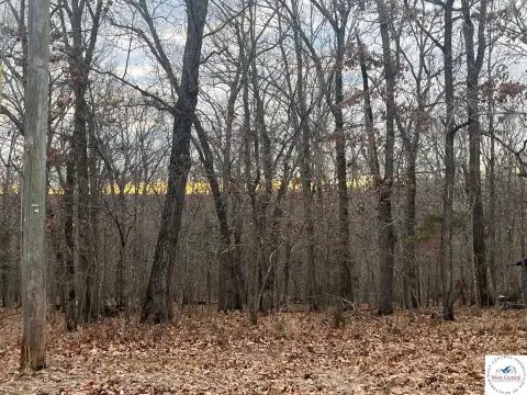 Warsaw Vacant Lot Near Lake