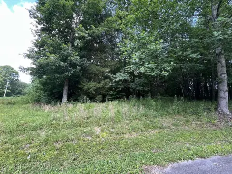 Scottsville Land Near Barren River