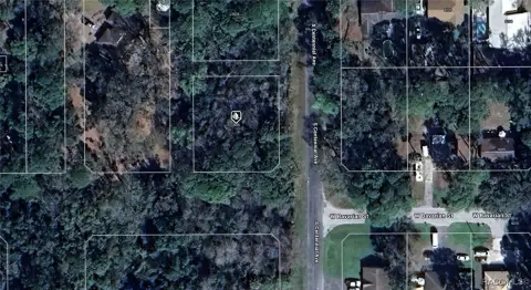 Picture of Land at S Centennial Ave 3856, Homosassa, FL