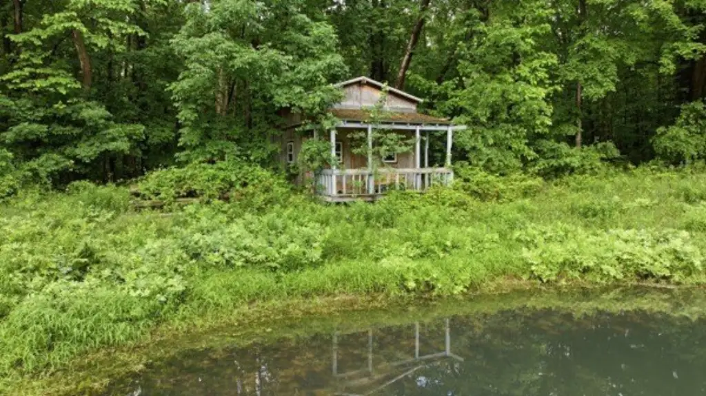 Picture 7