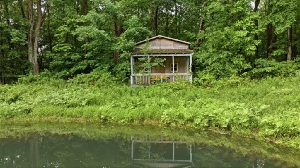 Picture 6