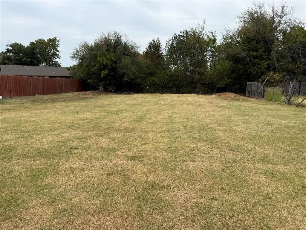 Picture 5