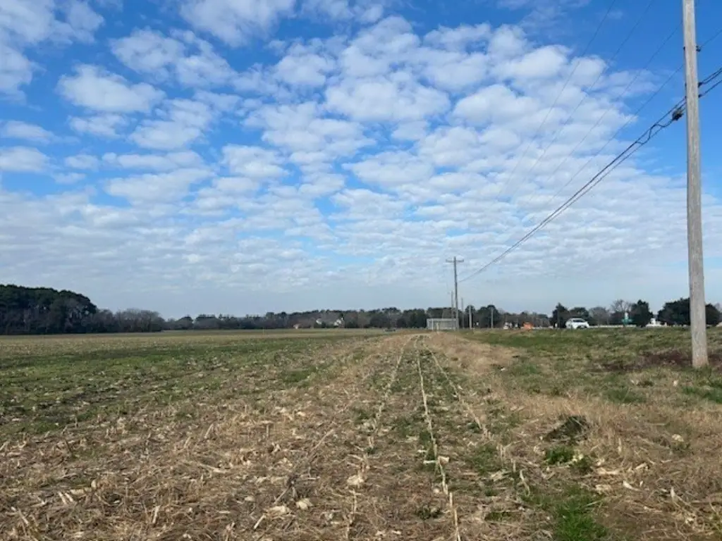 Picture 14