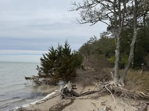 Waterfront Lot in Cedar Grove