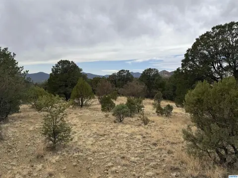 Land in Silver City, NM