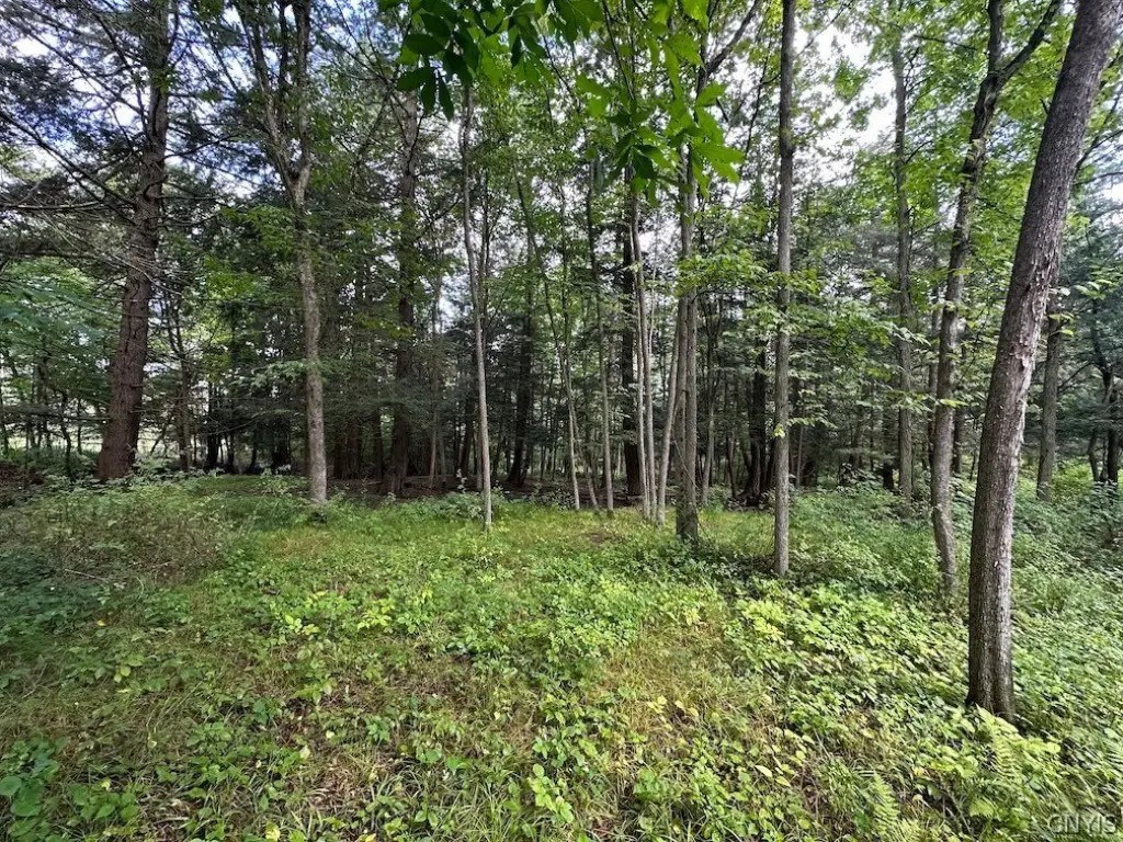 Picture 5
