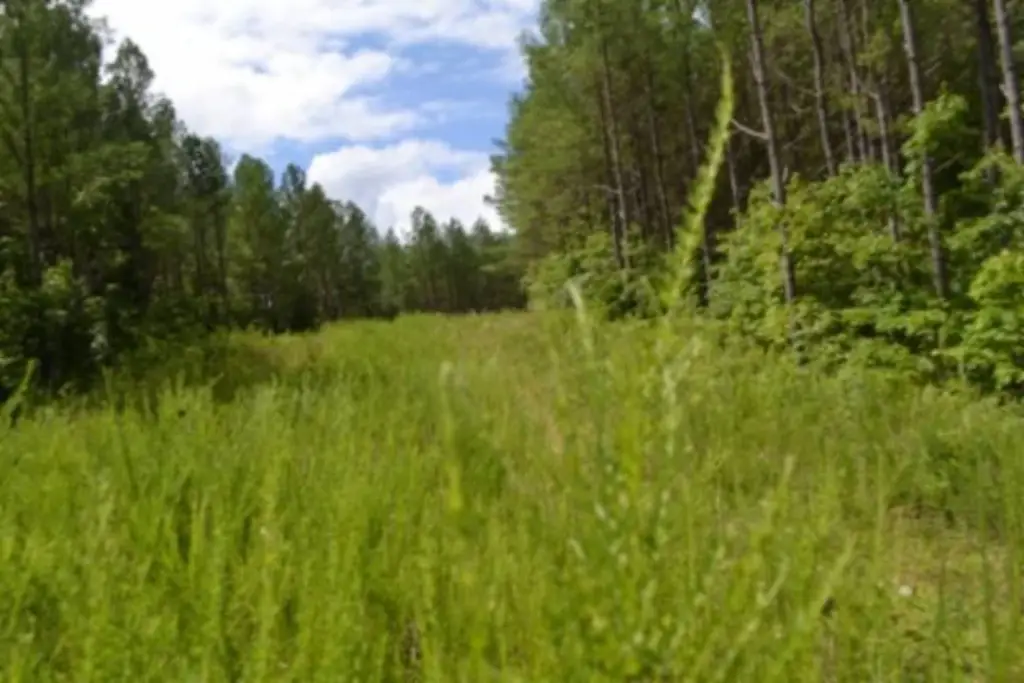 Picture 36