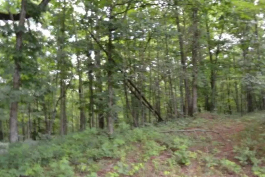 Picture 27