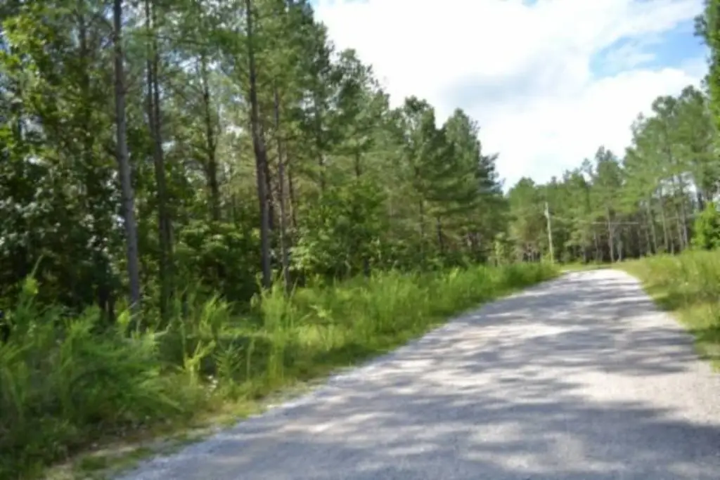 Picture 11