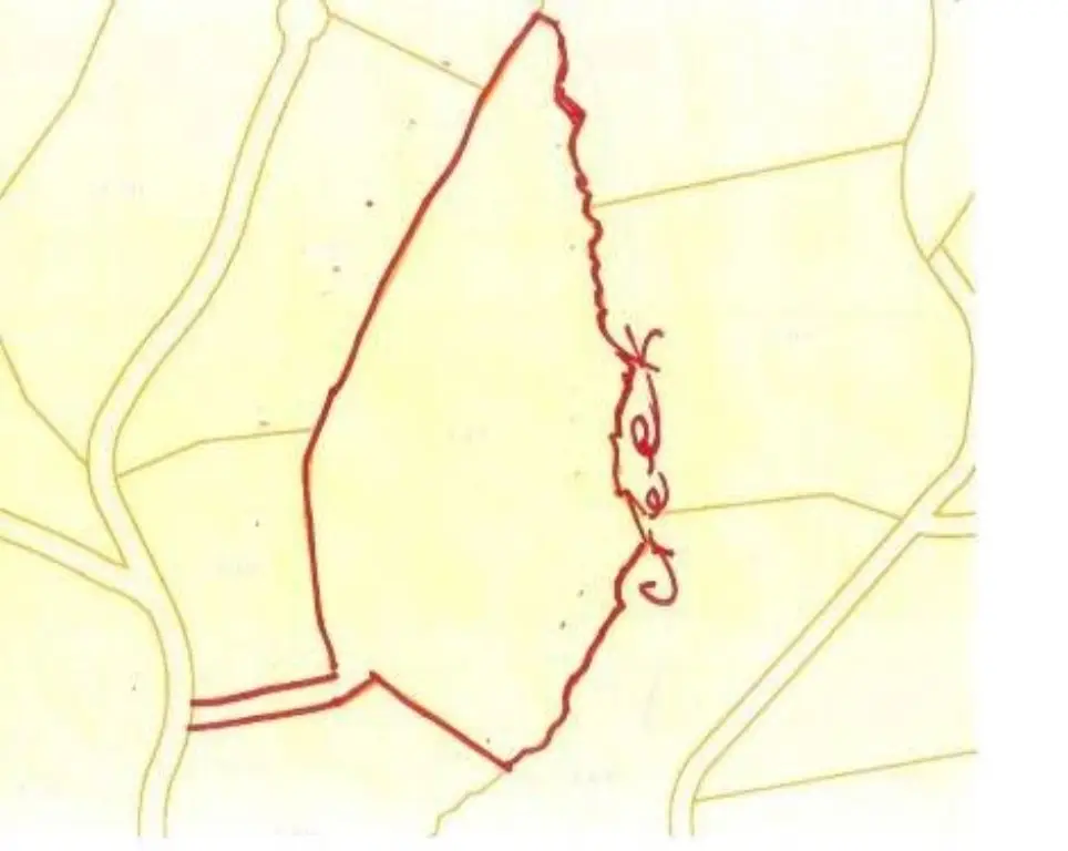 Picture 50