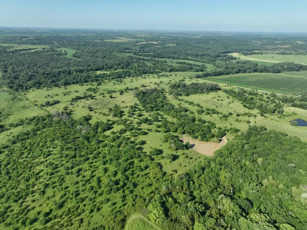 Picture 36