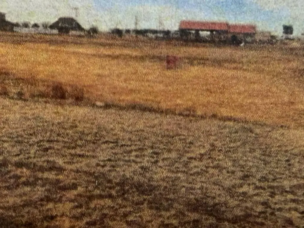 Picture 7