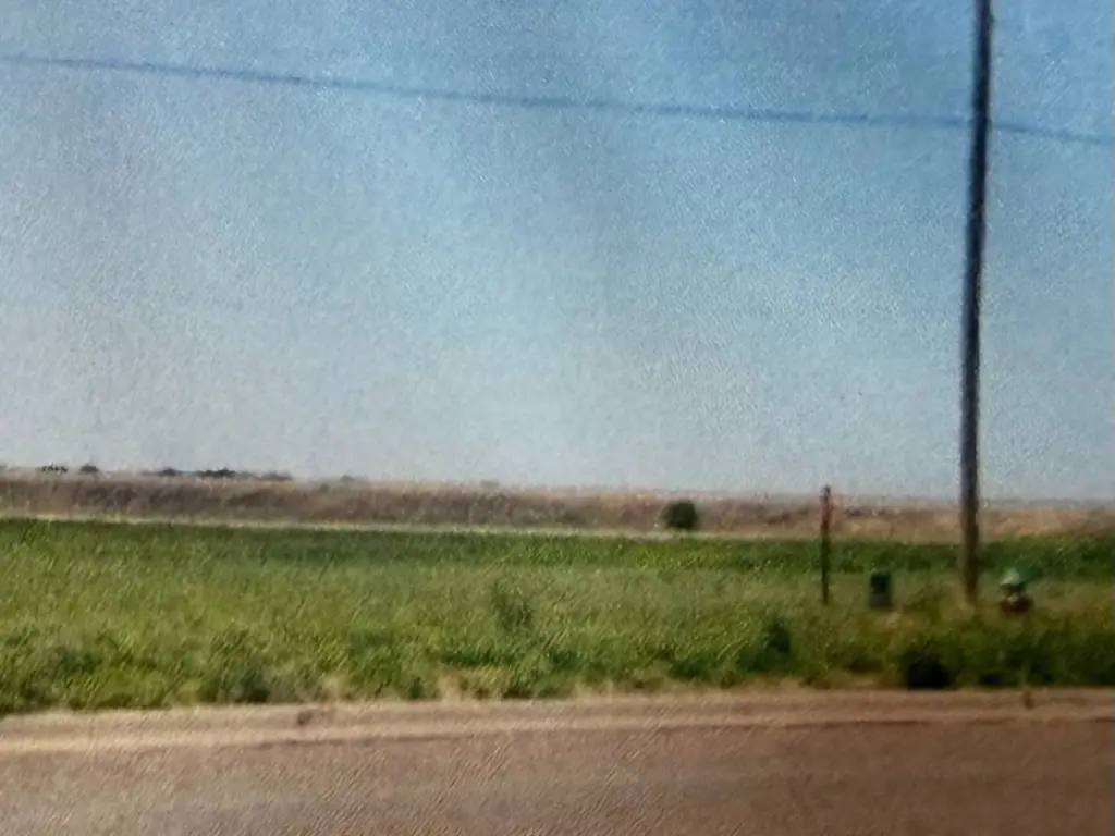 Picture 6