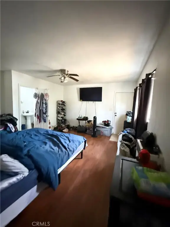 Picture 11