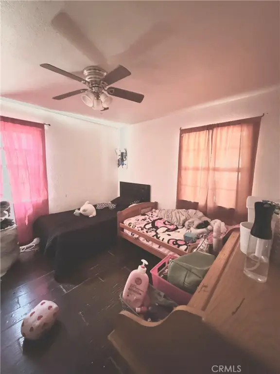 Picture 5