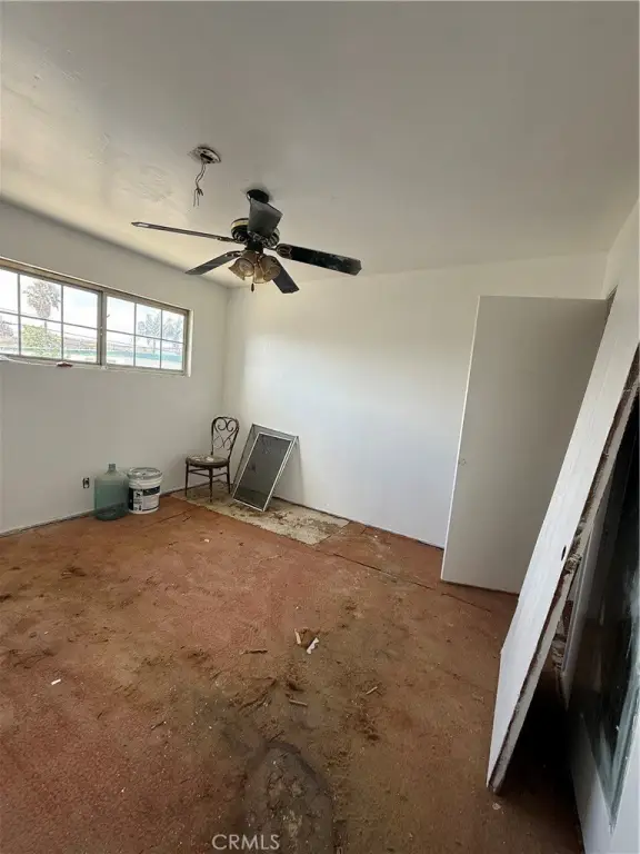Picture 23