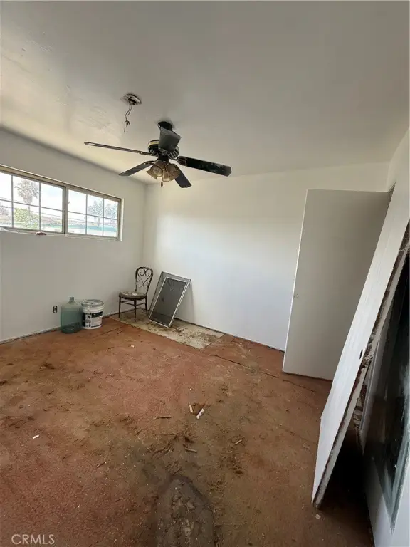Picture 23