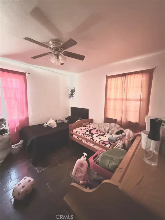 Picture 5