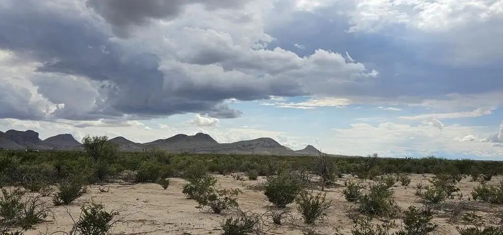 Picture 26