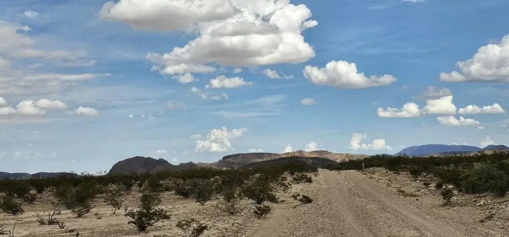 Picture 8