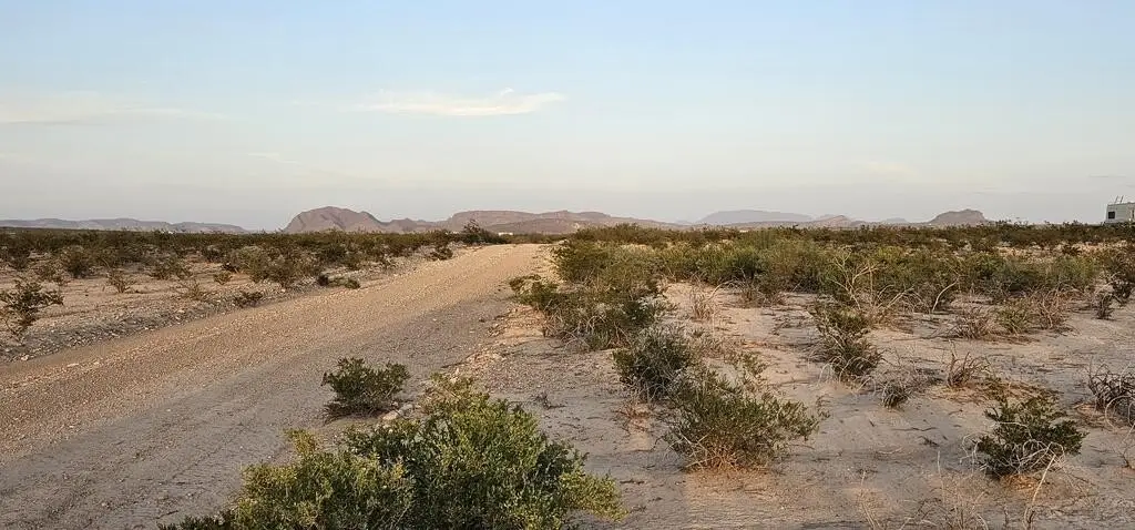 Picture 18