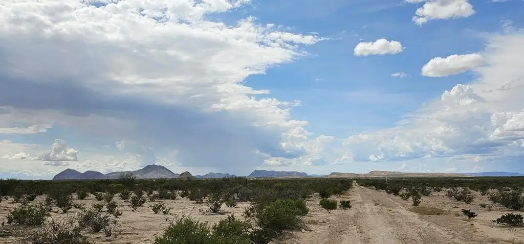 Picture 25