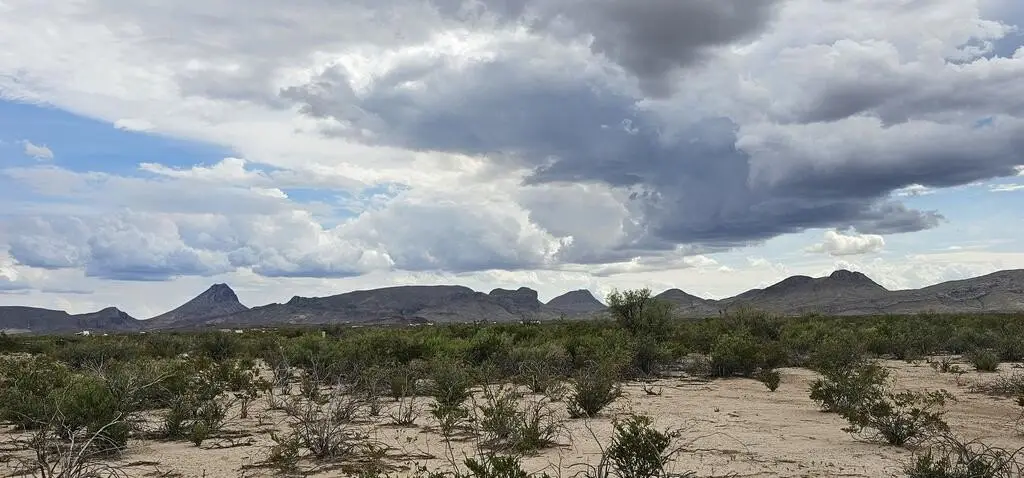 Picture 27