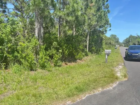 Residential Land in Palm Bay
