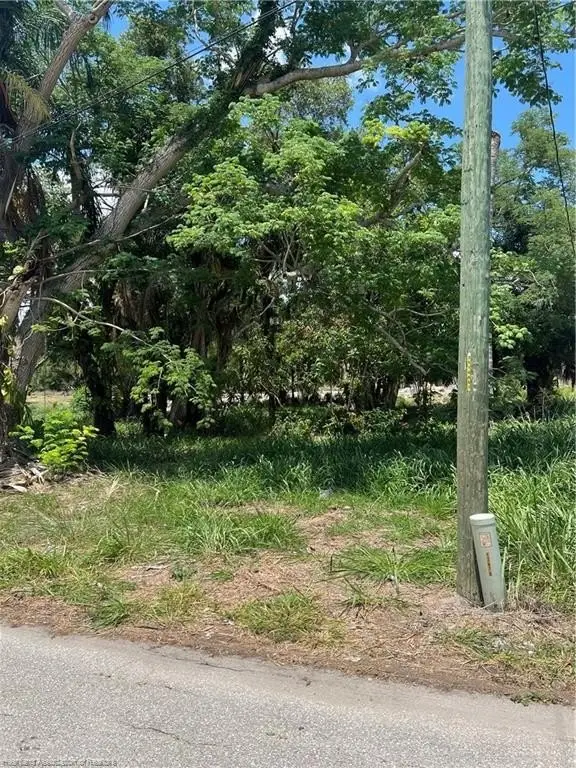 Picture 8