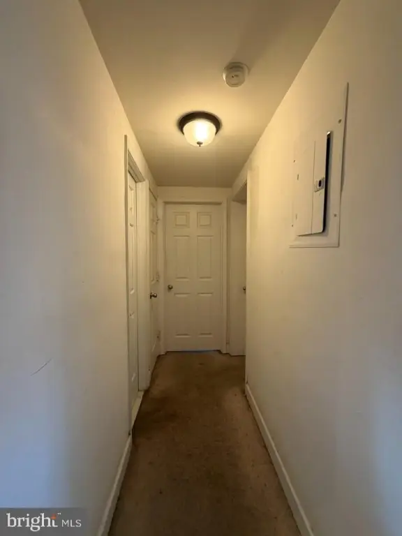 Picture 14