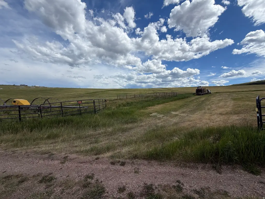 Picture 20