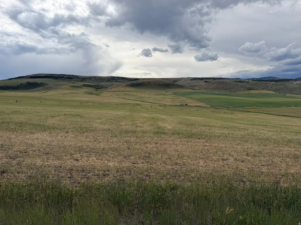 Picture 22