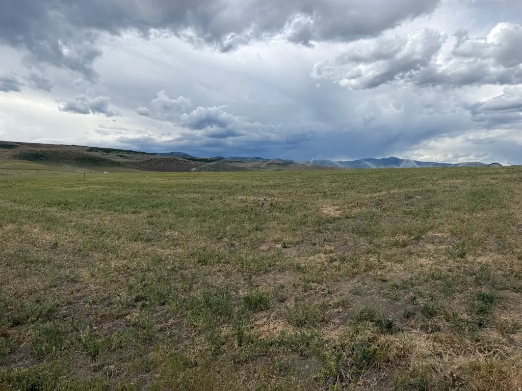 Picture 25
