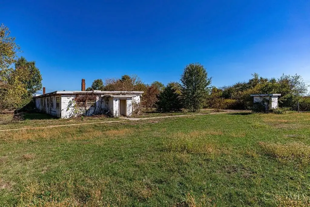 Picture 10