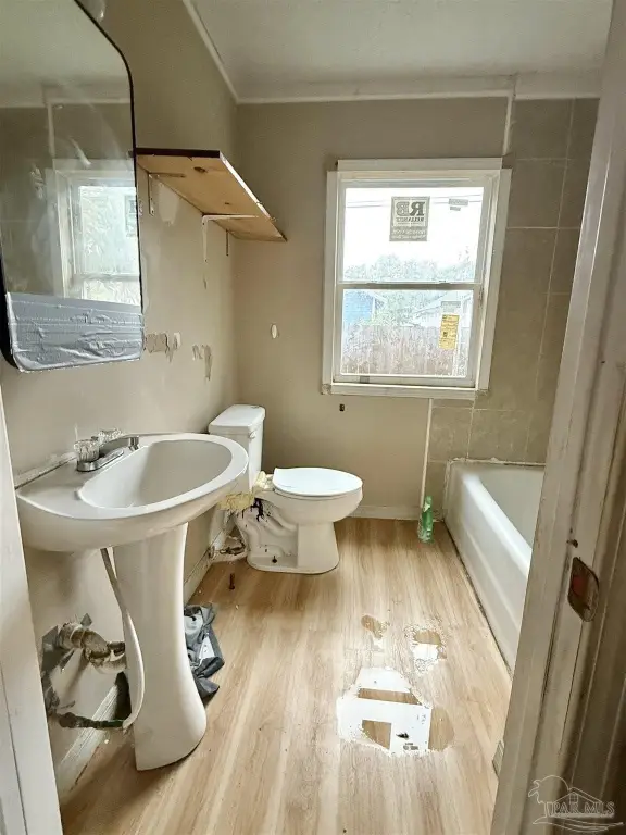 Picture 10