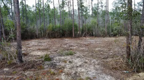 Kiln, MS Acreage Homesite